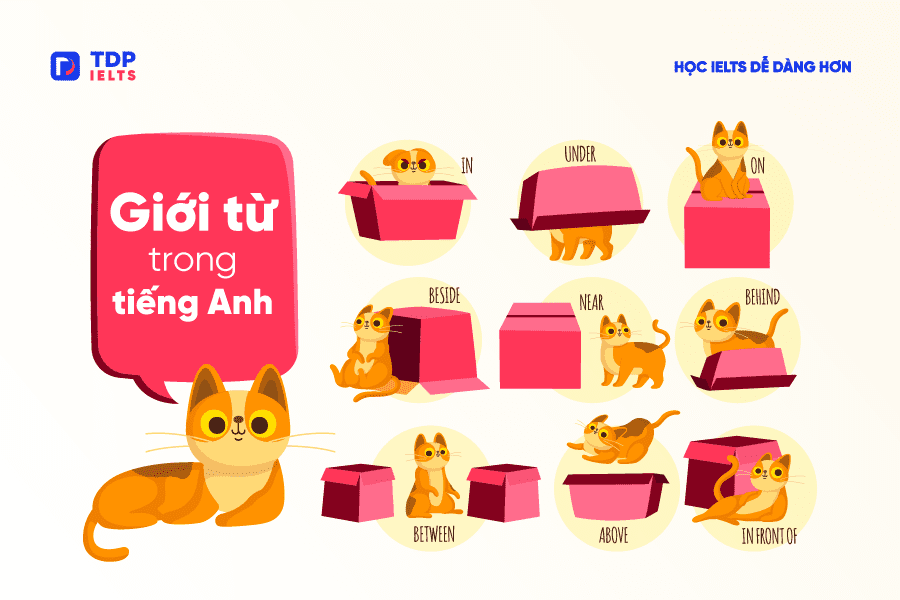Tự học Ielts 2 Giới từ trong tiếng Anh - TDP IELTS