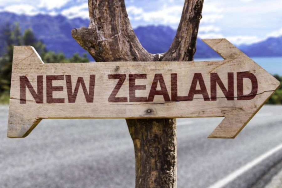 Các bước giúp bạn đi du học New Zealand thành công - TDP IELTS