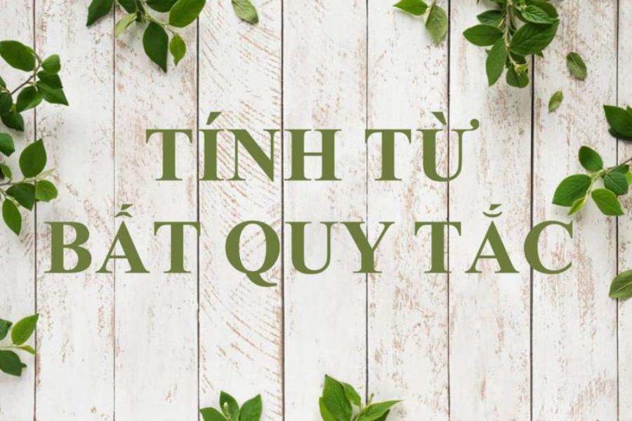 Tất tần tật về bảng tính từ bất quy tắc tiếng Anh cho bé 2 Tính từ bất quy tắc là gì?