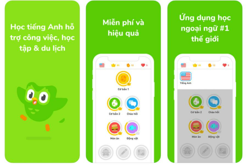 app hoc tu vung tieng anh tdpielts 5