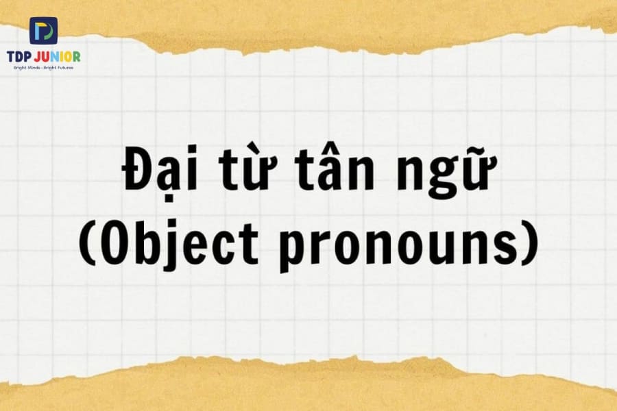 Đại Từ Tân Ngữ Trong Tiếng Anh: Hướng Dẫn Dễ Hiểu 2 Đại Từ Tân Ngữ Trong Tiếng Anh: Hướng Dẫn Dễ Hiểu